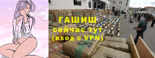 сатива Алзамай