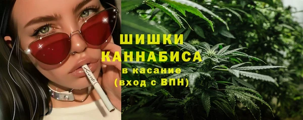 прущие грибы Абдулино