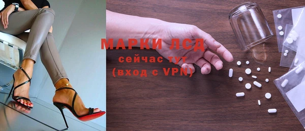 сатива Алзамай